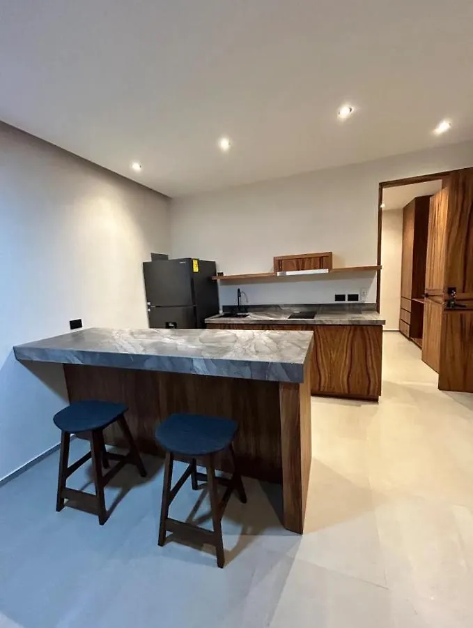 Appartement Depto#2 Lujoso Departamento En Tulum 1 Rec Mexique